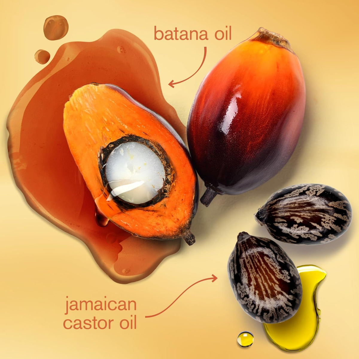 Batana oil and Jamaican castor oil next to sliced ​​palm fruit with white core and dark castor beans.