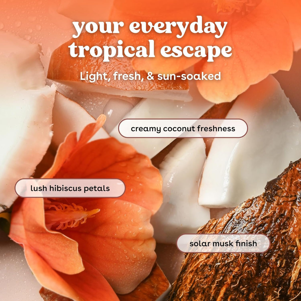 Cracked coconut and orange hibiscus flowers illustrate fragrance notes of coconut freshness, hibiscus petals and solar musk.