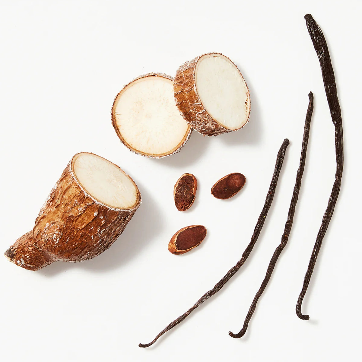 Cut cassava root with white flesh, cocoa beans and vanilla pods on white background.